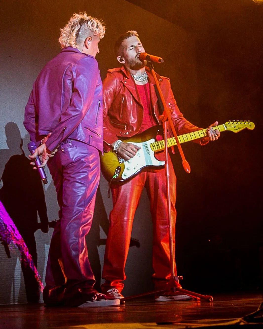 Los hermanos Montaner ofrecieron una increíble experiencia en el Arena Maipú / Ph: Gentileza Claudio Bello