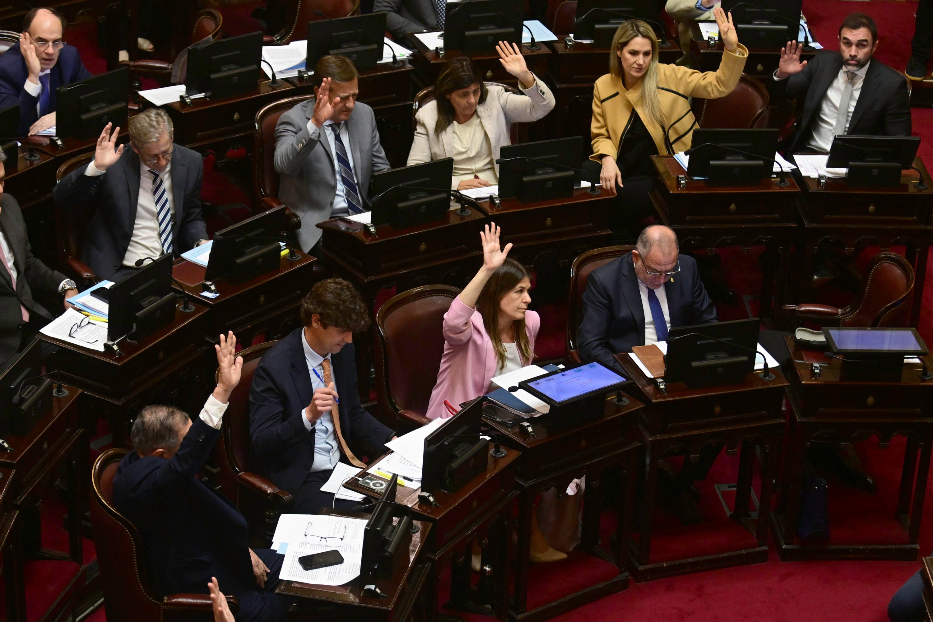 El Senado votando el proyecto que actualiza y blinda el presupuesto universitario hasta fin de año y la iniciativa que busca implantar la Boleta Única de Papel (BUP) como nueva modalidad de votación de cara a los comicios legislativos del 2025. Foto archivo: NA