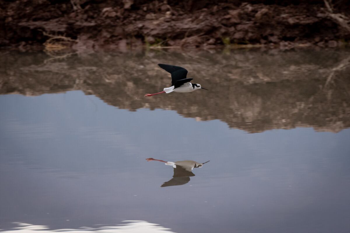 Foto: Ignacio Blanco / Los Andes