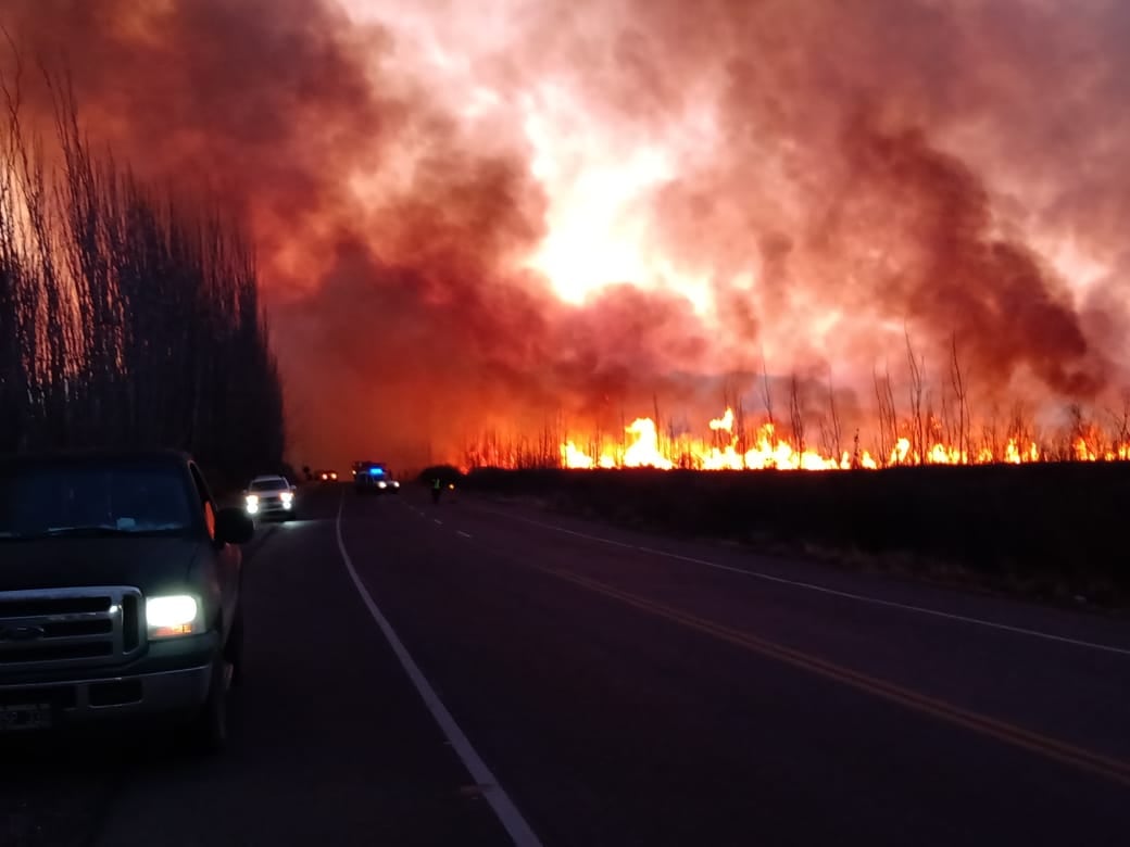 Una quema de pastizales habría sido el desencadenante de incendio en El Carrizal. Foto gentileza Claudio Bello