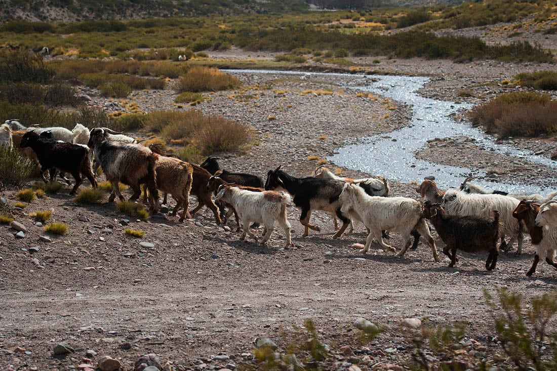 Foto: Ignacio Blanco / Los Andes