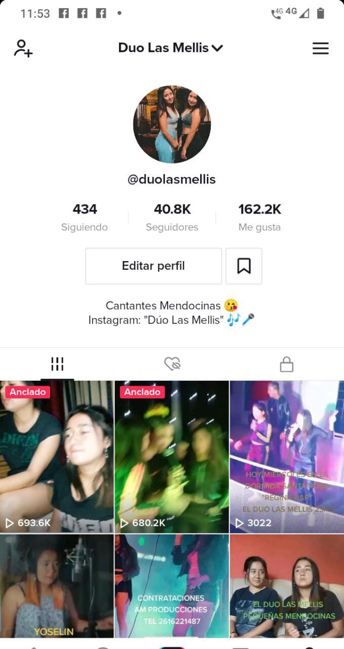 La cuenta de TikTok del dúo con miles de seguidores