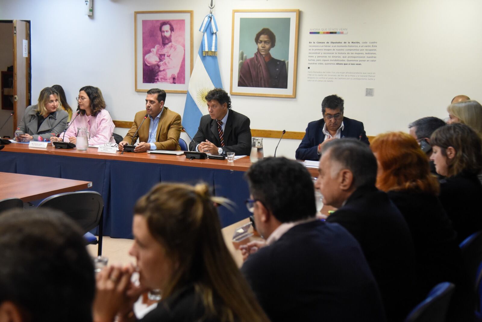 El proyecto tuvo el visto bueno de las comisiones de Economías Regionales y de Presupuesto (Foto: HCDN)