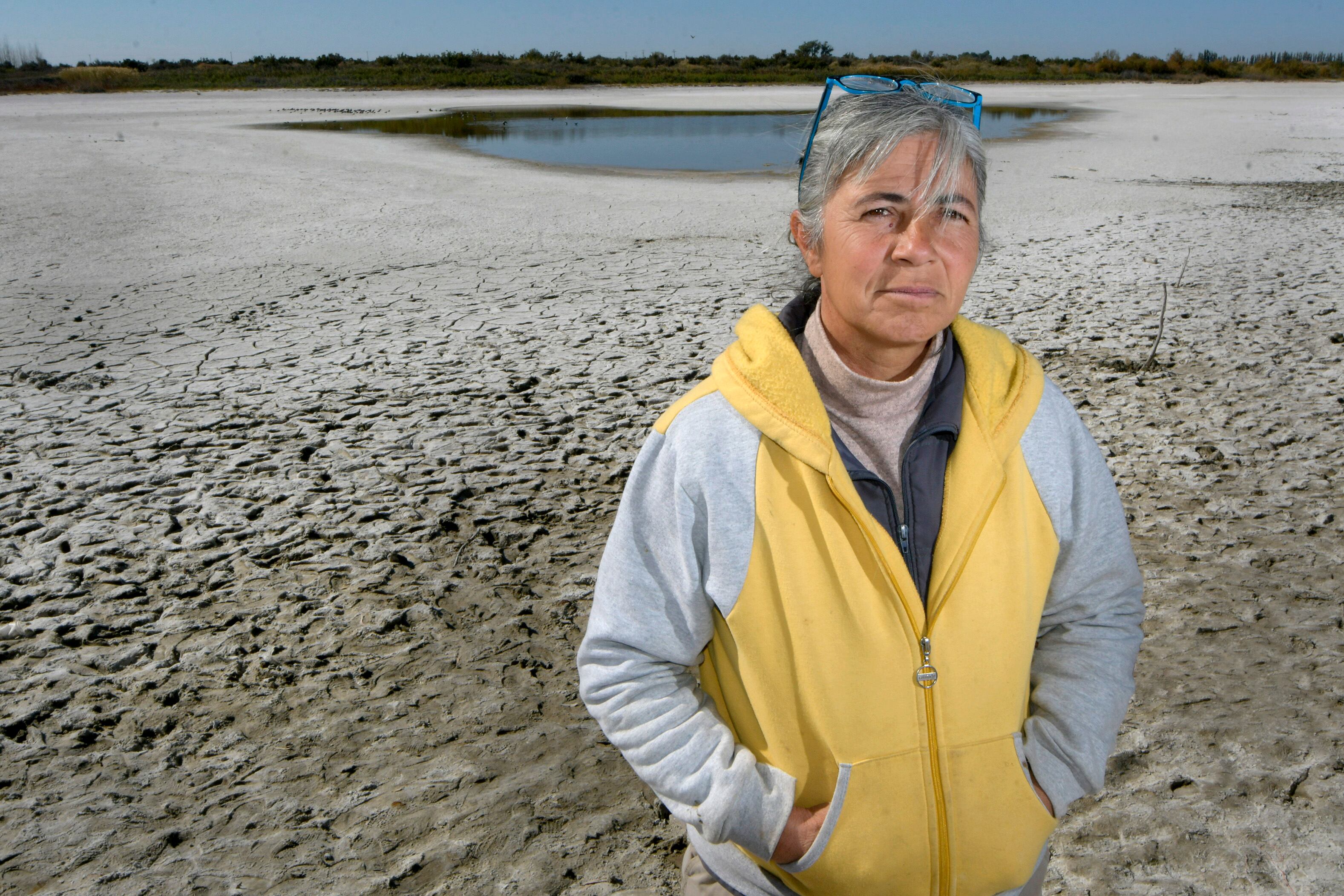 La Laguna del Viborón, un humedal clave que está al borde de la sequía absoluta y desaparición. Foto: Orlando Pelichotti / Los Andes.