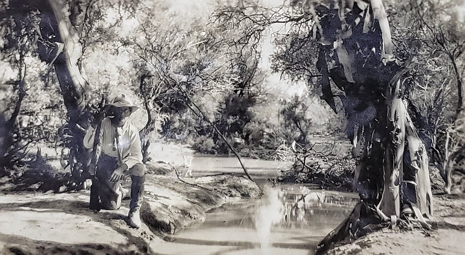 Bosques de algarrobos y chañares en Lavalle. Autor: Ing. Stegmann en Estudio de Carlos Wauters 1928