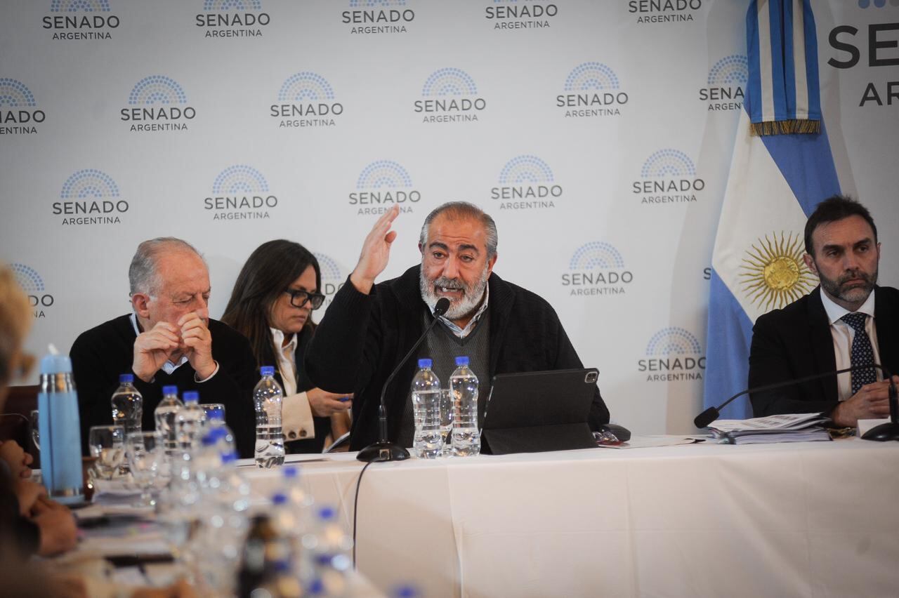 Arrancó el debate en el Senado en comisiones de la "ley bases". Foto: Federico López Claro / Clarin