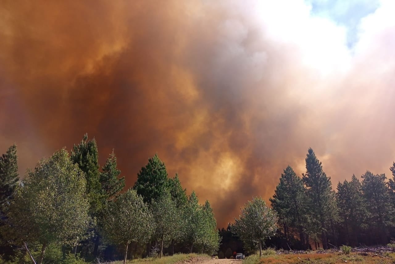 Incendio forestal en la zona de Aluminé.