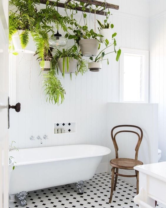 Plantas en el baño