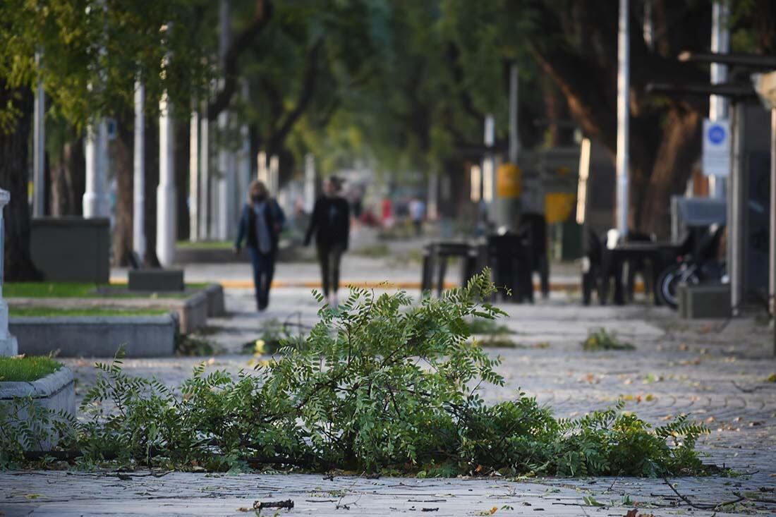 Foto: José Gutierrez/ Los Andes 