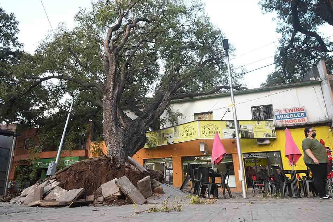 Foto: José Gutierrez/ Los Andes 