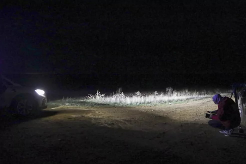 Arancha Corcero Girón murió tras ser atacada por cinco perros. Foto: Marca