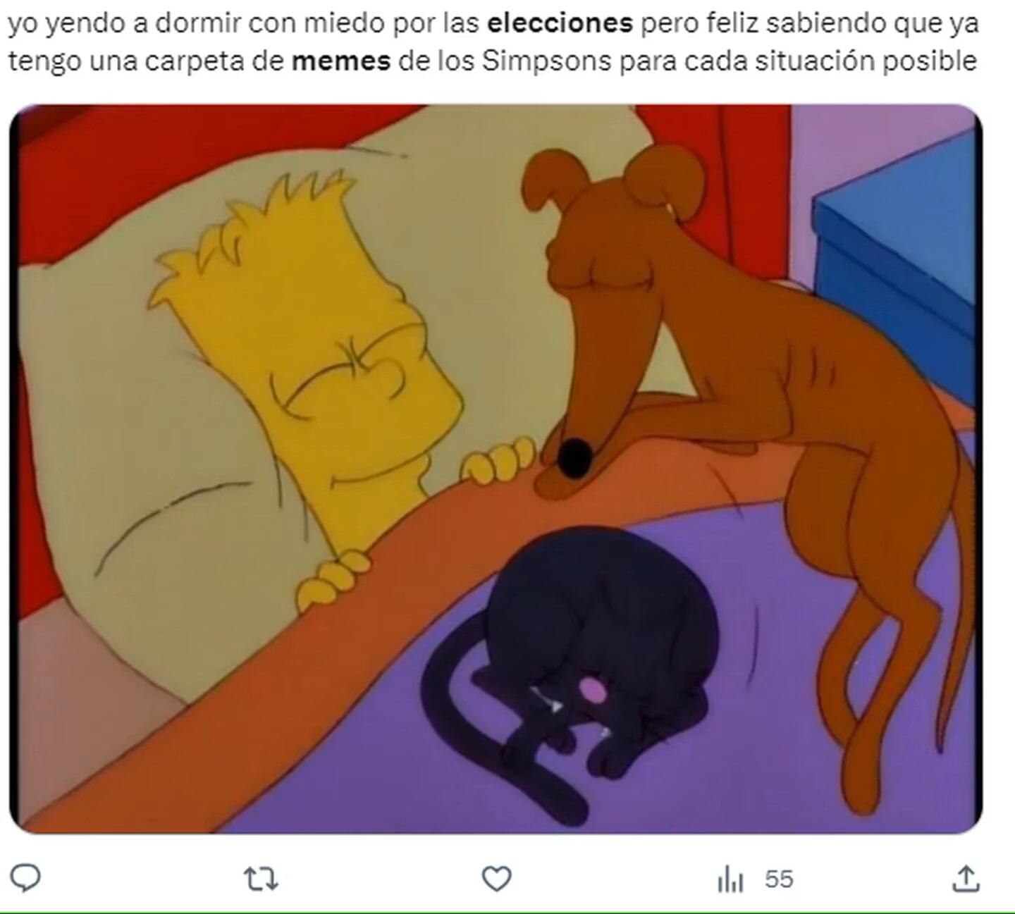 Los mejores memes de las Elecciones Presidenciales. Foto: captura.