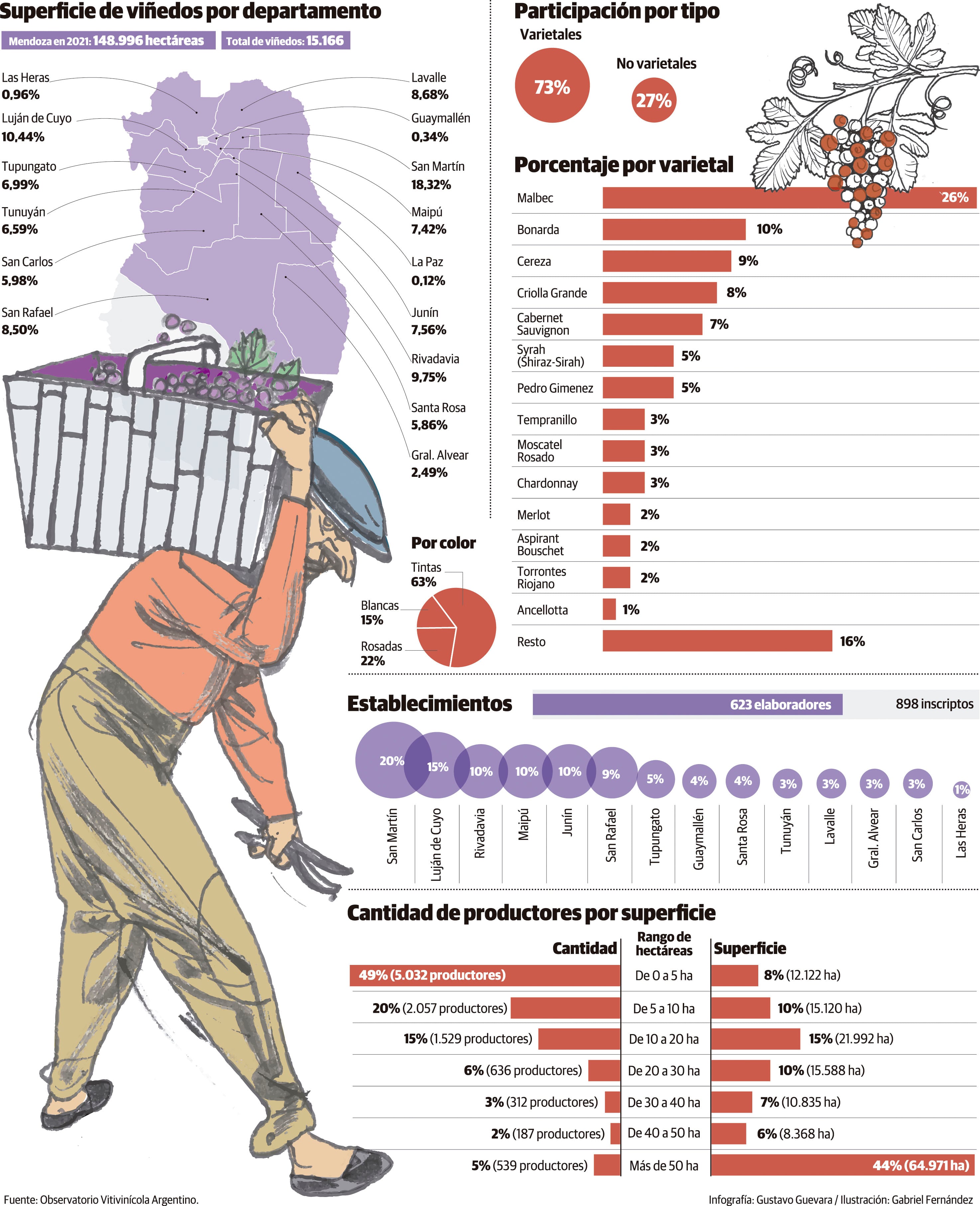 Cifras de la vitivinicultura en Mendoza