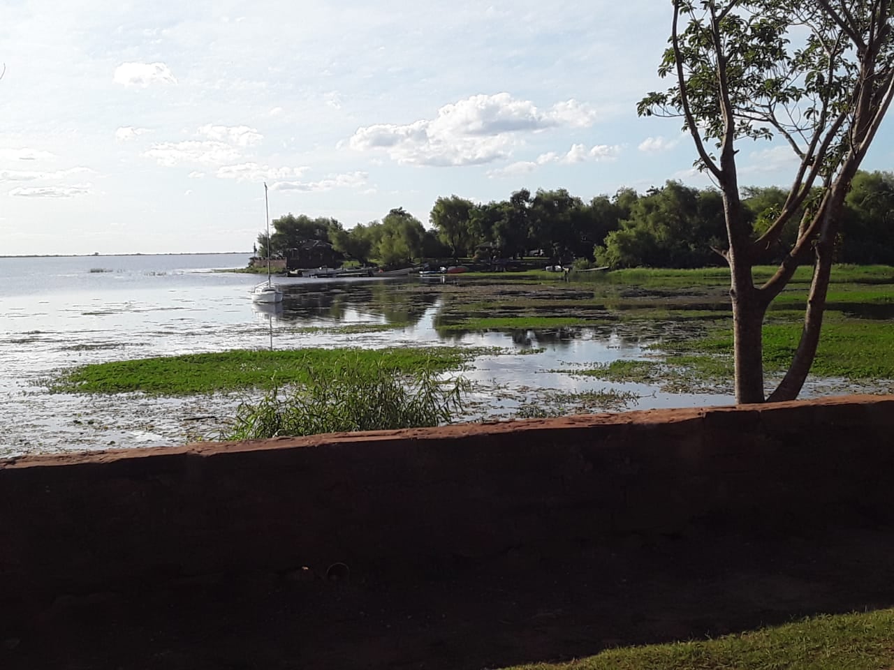 Tras la sequía y los incendios, las lluvias ayudan para recuperar el ecosistema en los Esteros del Iberá. Foto gentileza Misiones Online.