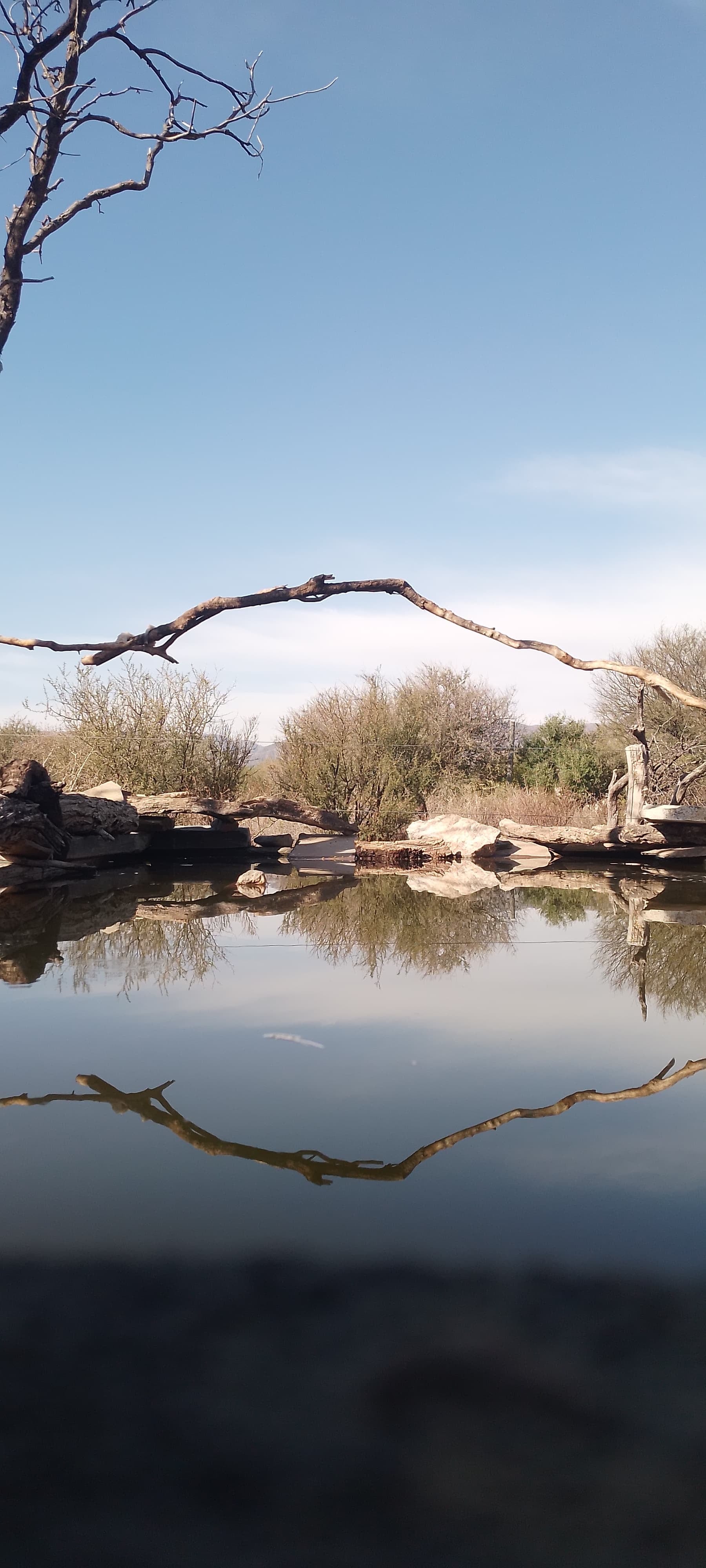 Así es el refugio de aves más importante de Cuyo y donde se pueden ver y fotografiar animales sin costo. Foto: Instagram @reservaprivada_puntadelagua