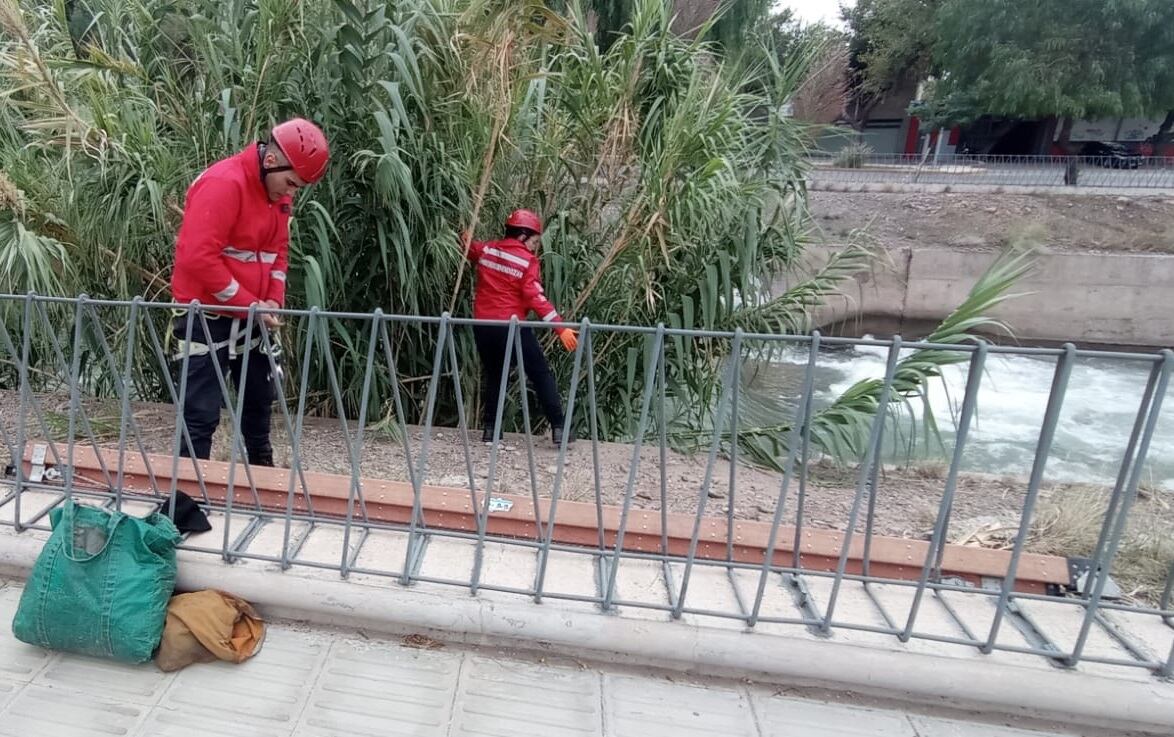 Un perrito fue sacado del interior del Cacique Guaymallén por Bomberos de la Policía. | Foto: Ministerio de Seguridad y Justicia