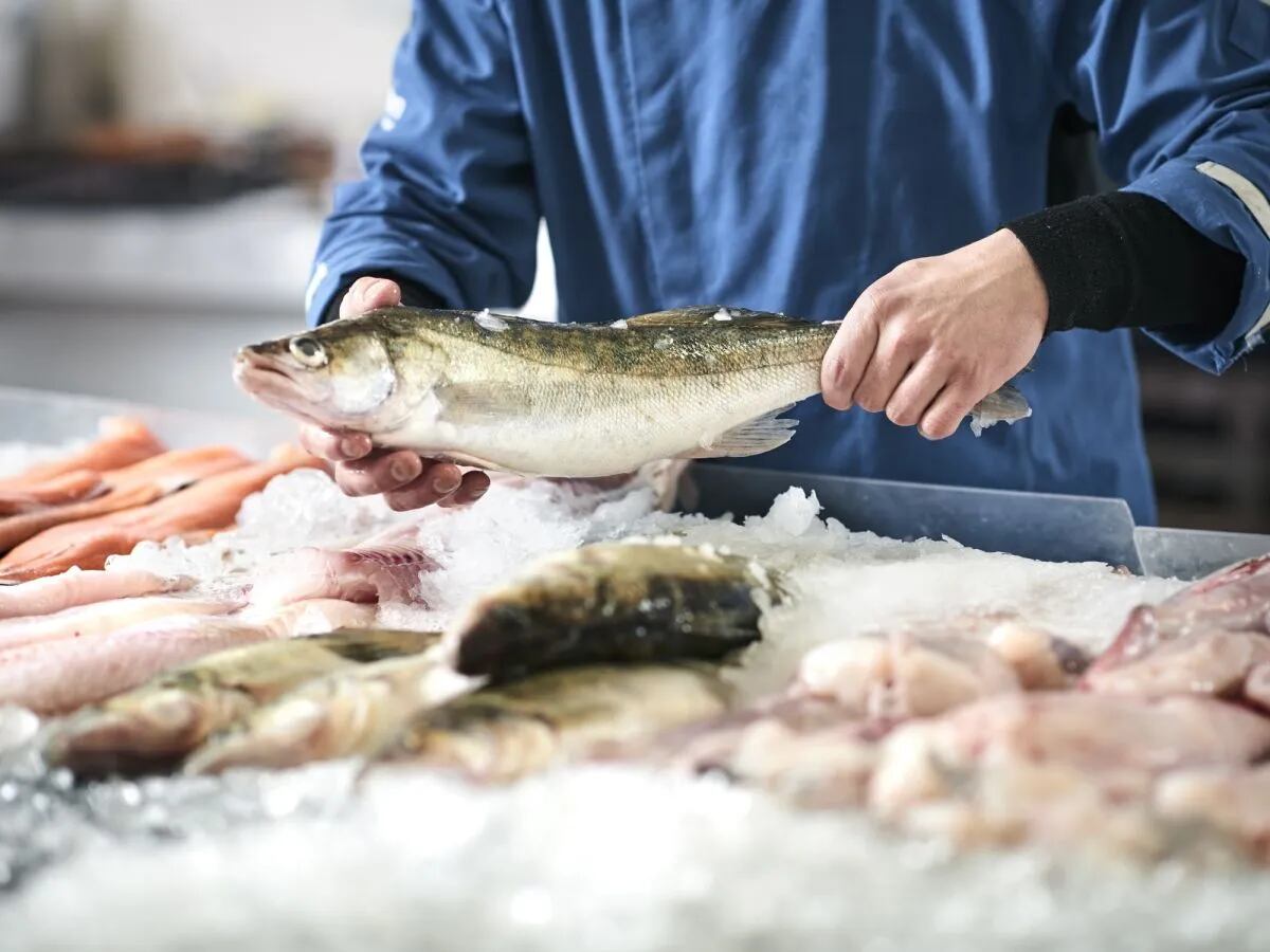 Cuáles beneficios tiene comer pescado. / WEB