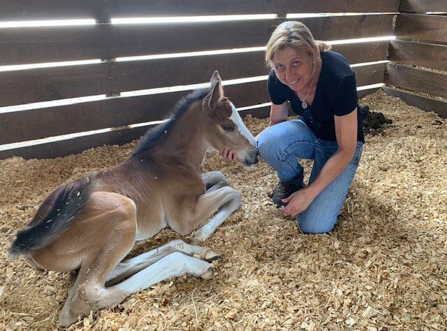 El manejo exitoso de mellizos está en el tratamiento temprano, según la médica veterinaria María Eugenia Cadario. 