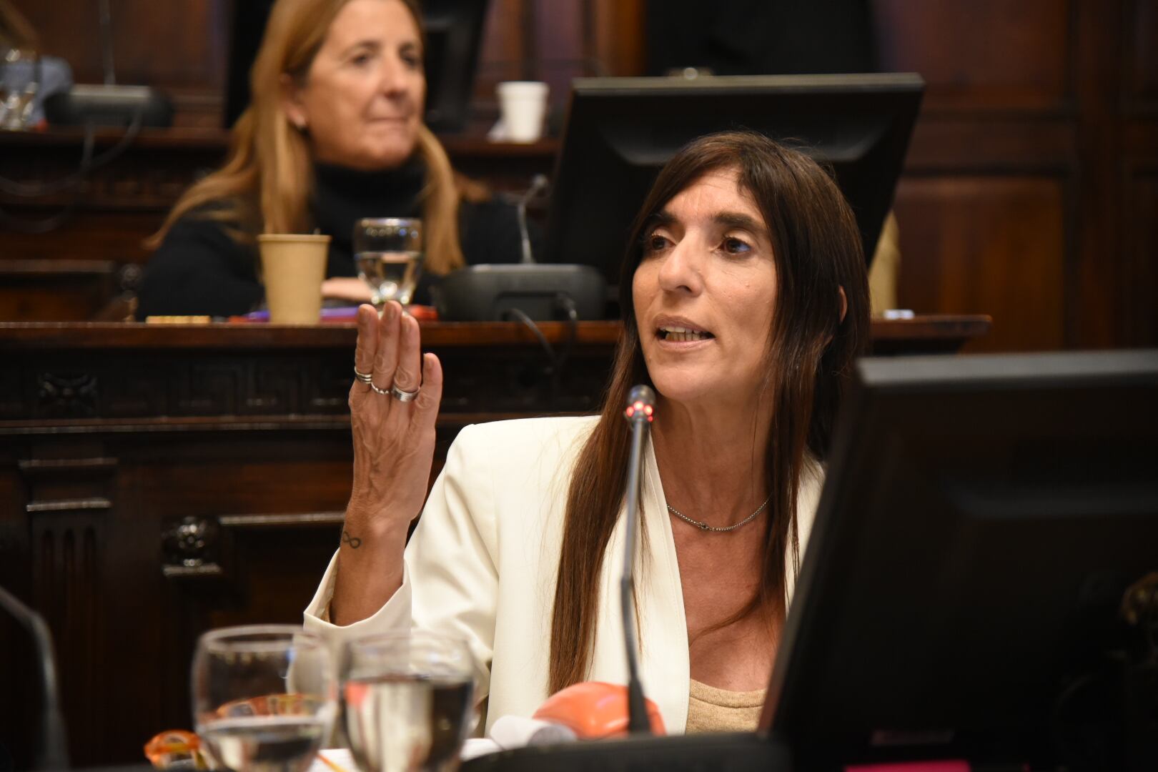 Mendoza establece el 27 de enero como el Día Provincial de Conmemoración en Memoria de las Víctimas del Holocausto. Foto: Senado de Mendoza