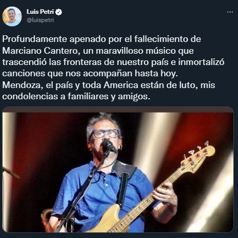 El tuit de Luis Petri