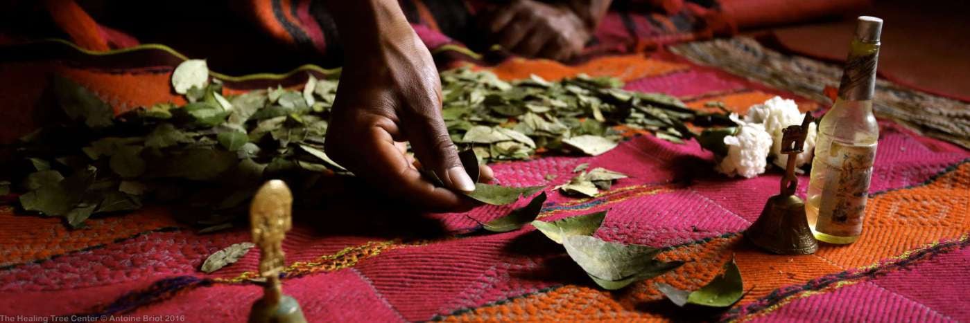 Lectura de hoja de coca