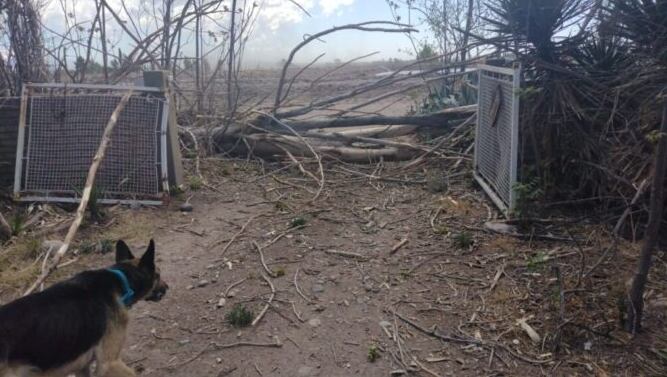 El fuerte viento provocó incidentes en Valle de Uco.