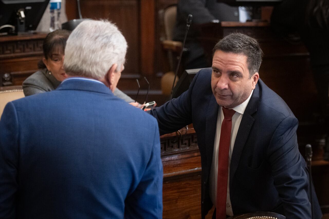 Pedido de informes en la la Camara de Diputados por el proyecto Baqueano 
Diputado Gustavo Cairo.

