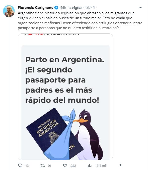 La directora nacional de Migraciones, Florencia Carignano, dio detalles de la investigación - Twitter