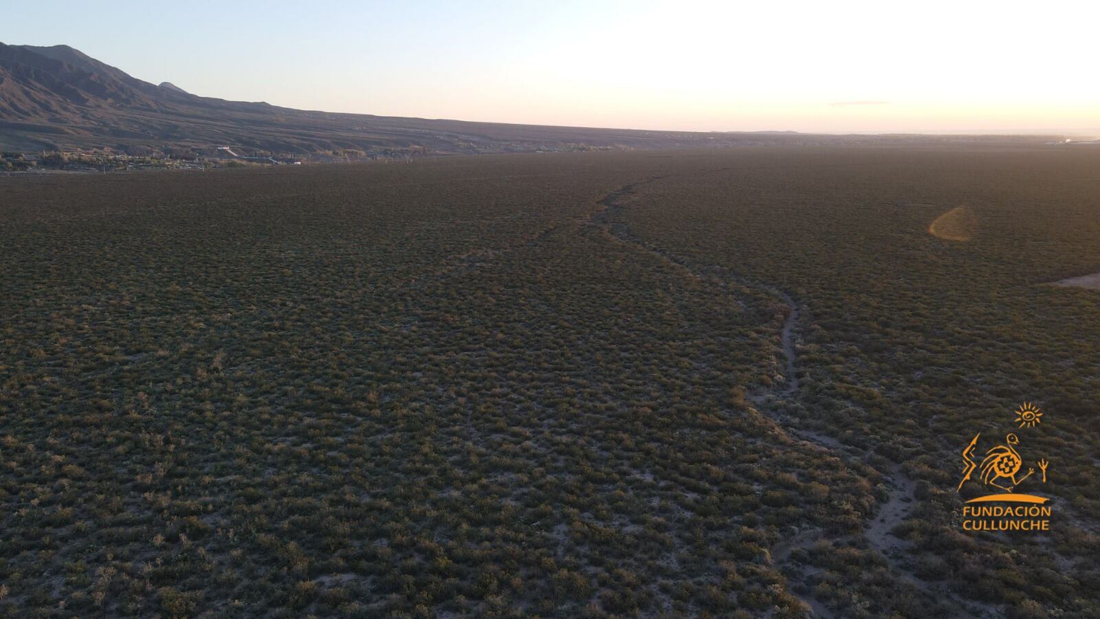 Desmontan hectáreas de jarilla en el piedemonte lujanino y hay acusaciones cruzadas entre una ONG y el Gobierno. Foto: Gentileza Fundación Cullunche