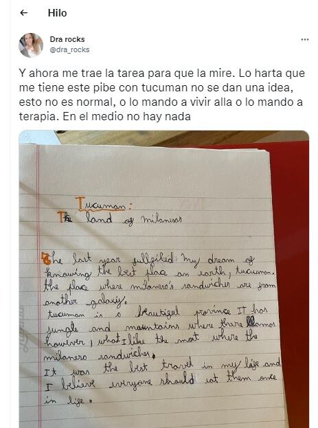 Un niño escribió un texto para su clase de inglés en donde aseguraba que las milanesas de Tucumán son de otra galaxia.