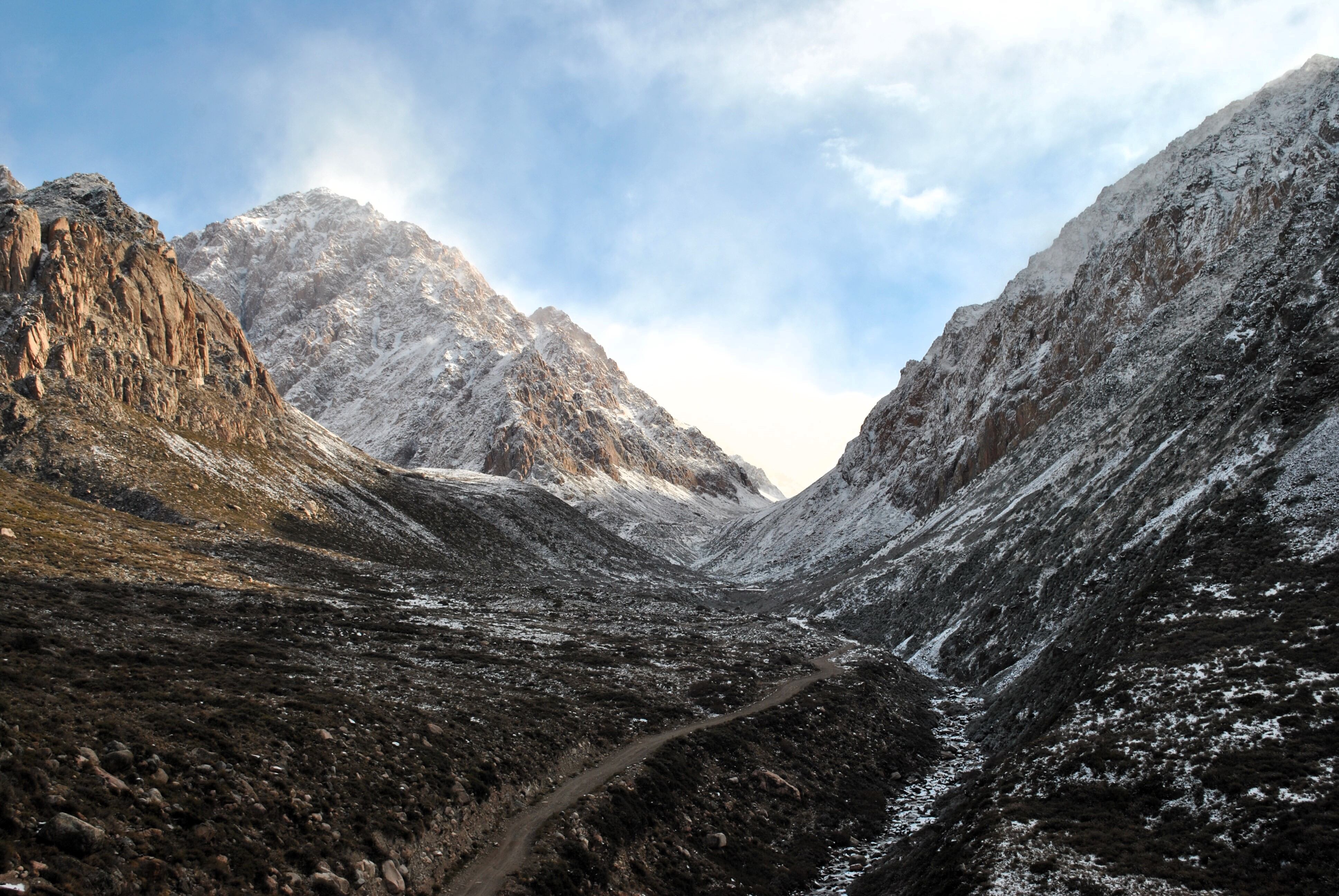 Panorámica de la Cordillera de los Andes, hogar de Phyllotis vaccarum (ratón orejudo) y Abrothrix andina (ratón andino). Este paisaje suele estar cubierto por nieve durante largos períodos en los meses fríos del año. Foto: Emmanuel Ruperto.