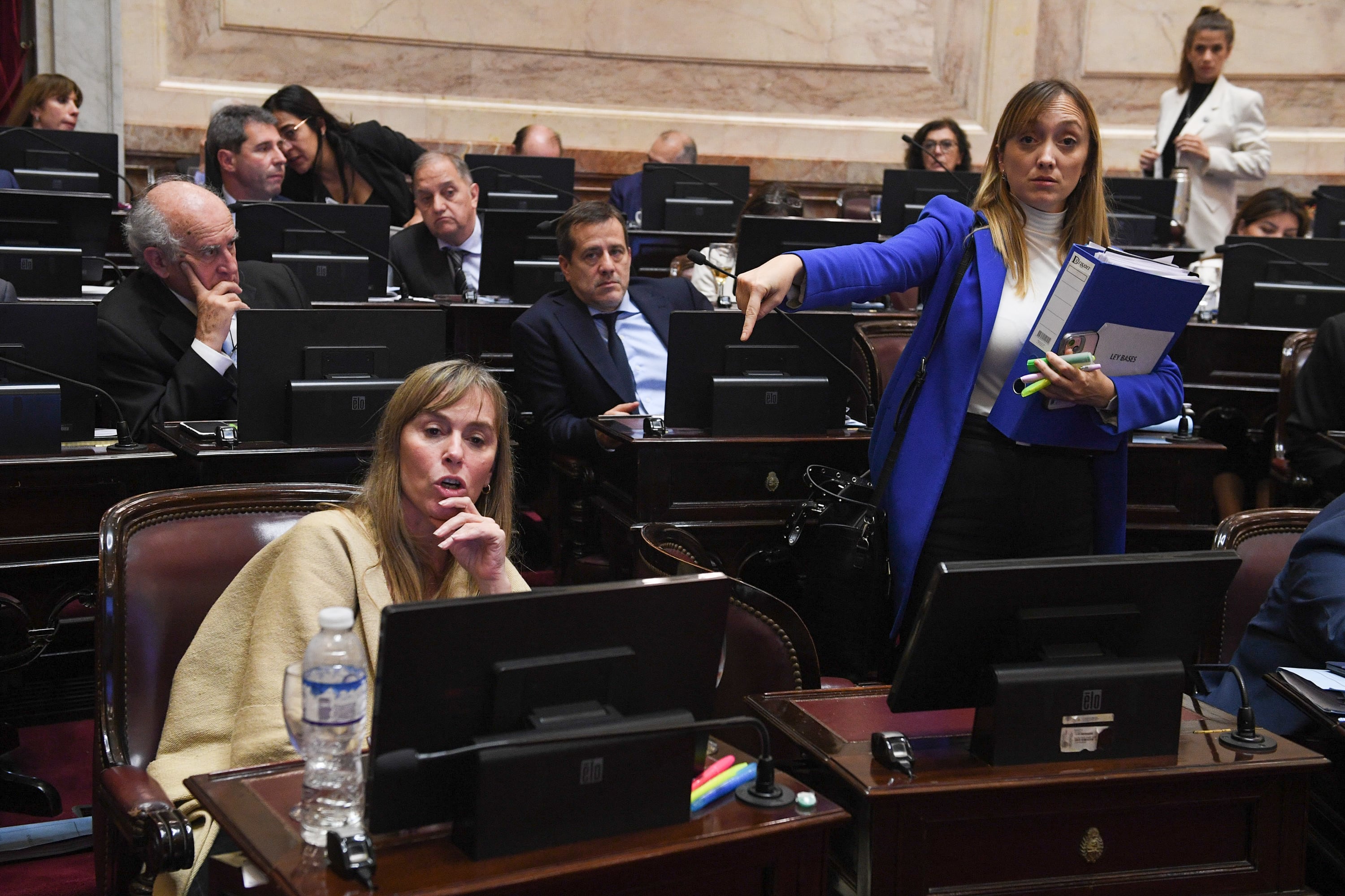 Anabel Fernández Sagasti, vicepresidenta del bloque de Unión por la Patria. | Foto NA