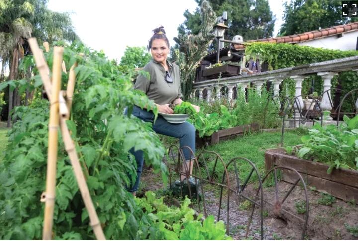 Su esposa, Viviana Sáez, es quien principalmente se encarga de mantener en pie su huerta. Gentileza.