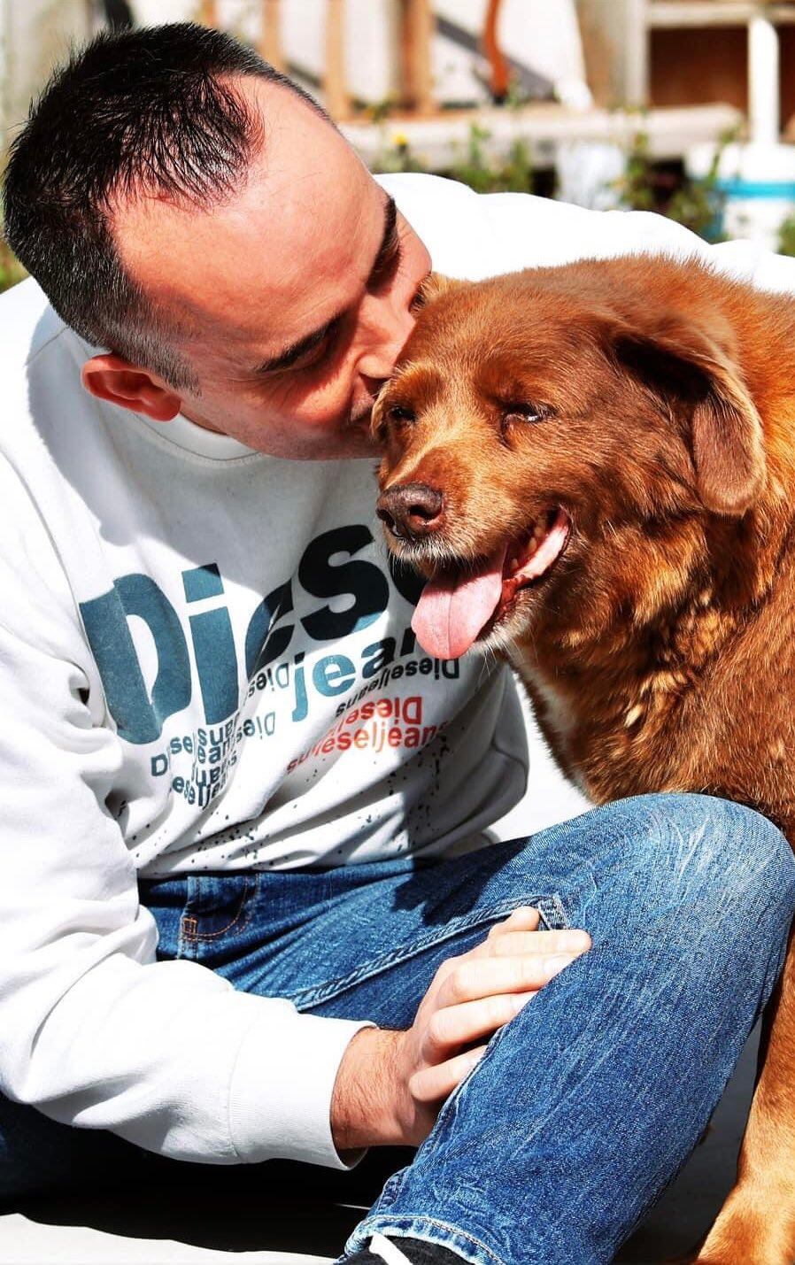 Bobi junto a su fiel amigo. Foto: X / @dog_rates