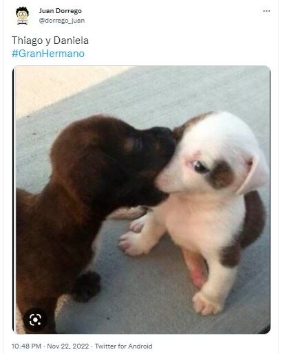 Memes del beso de Thiago y Daniela de Gran Hermano