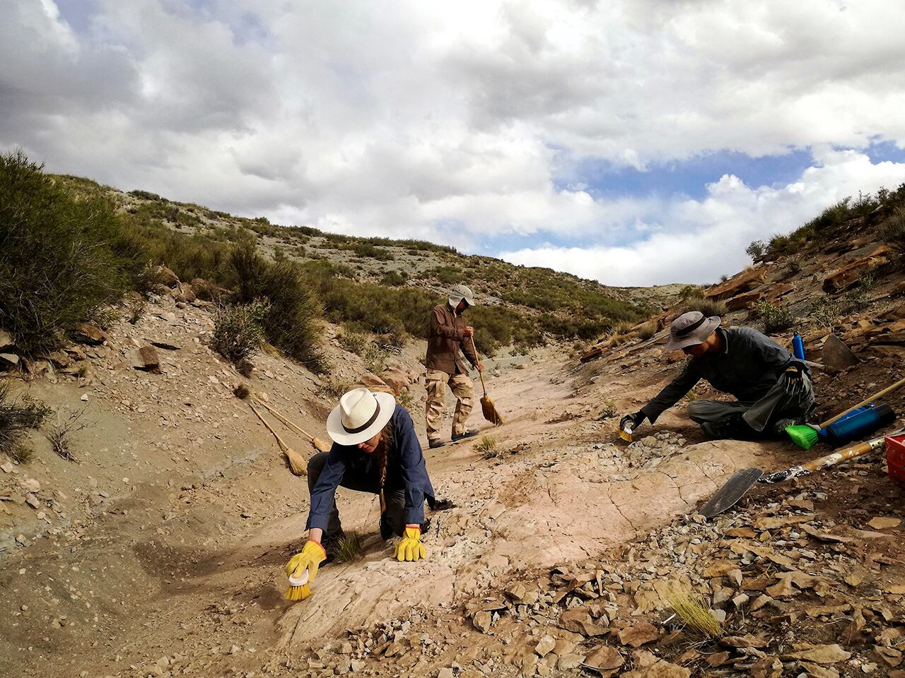 Mendoza, tierra de dinosaurios: los 6 tipos que vivieron en el Sur y la voz de quien más sabe de estos seres en la región. Foto: Gentileza