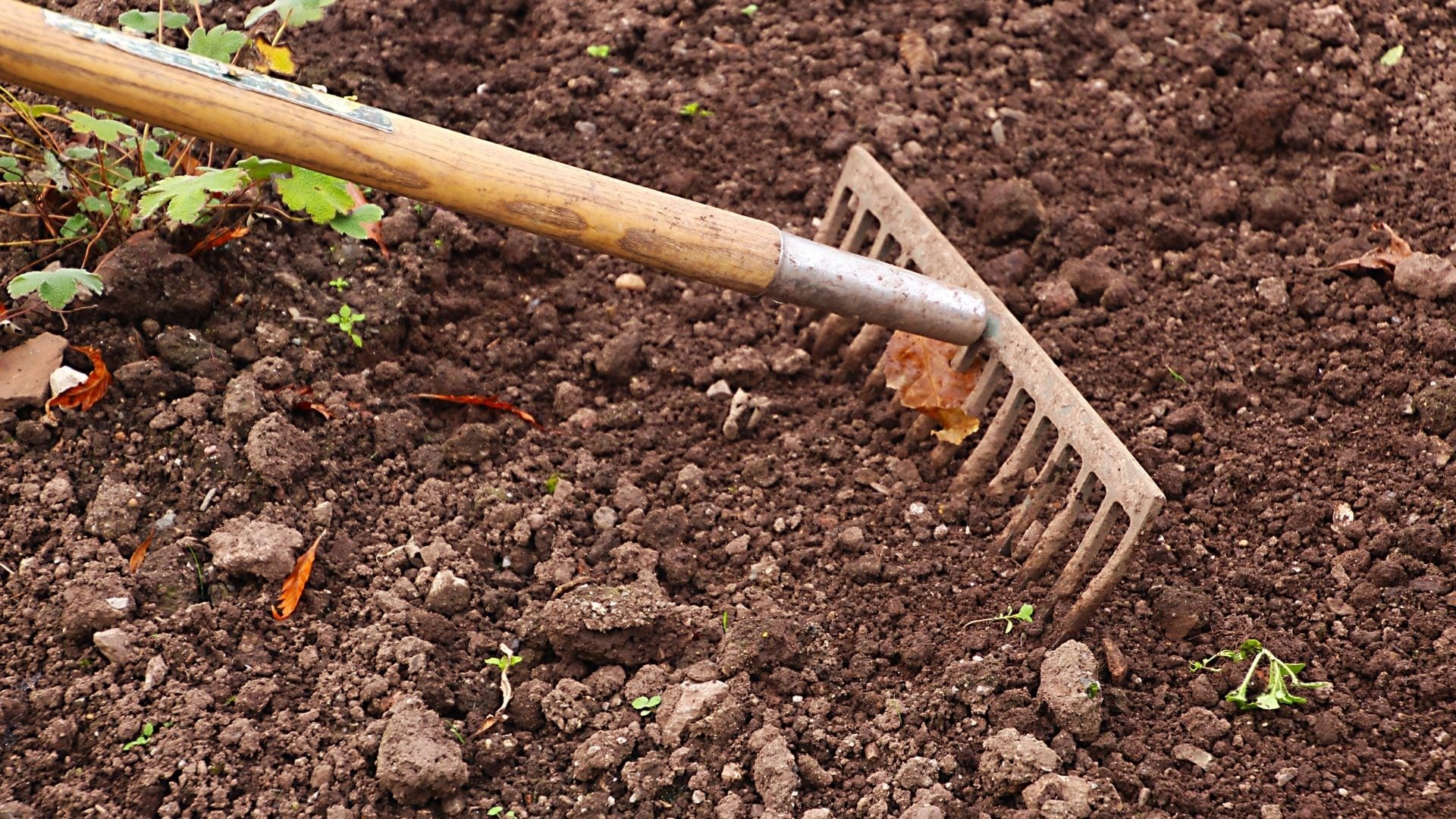 Jardinería