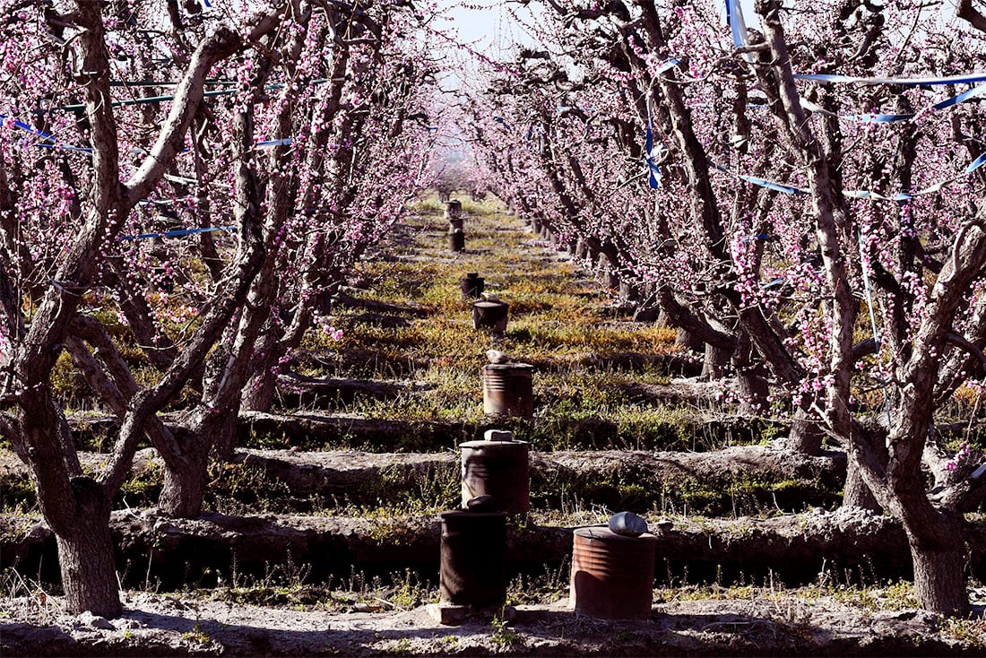 Mendoza lanza una línea de crédito a tasa subsidiada para productores agrícolas