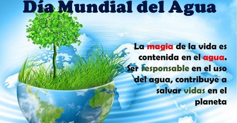 Frases para el Día Mundial del Agua