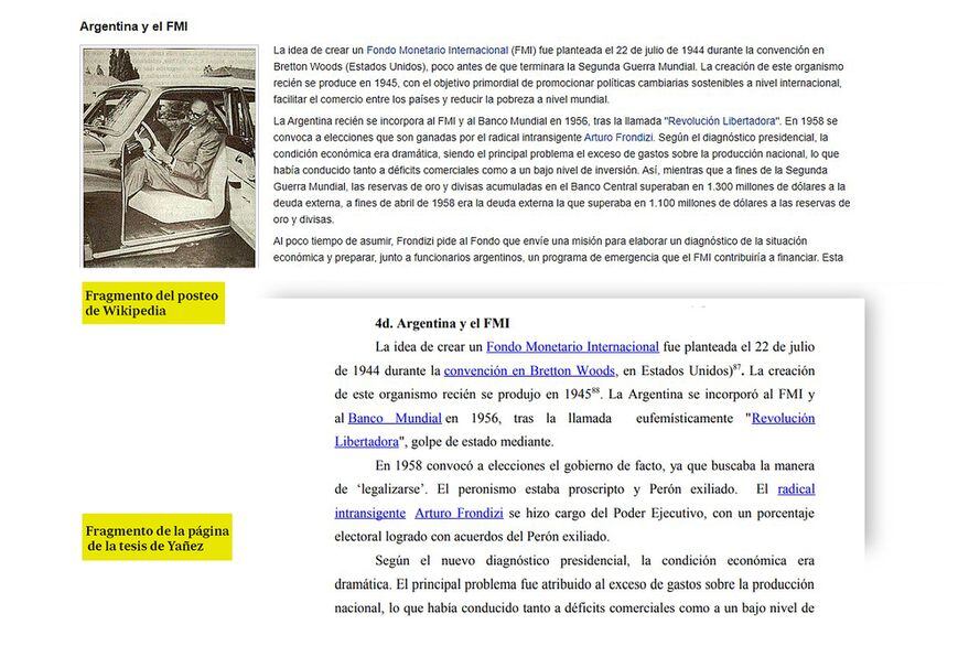 La Tesis de Yañez y las publicaciones en Wikipedia. Gentileza /La Nación.