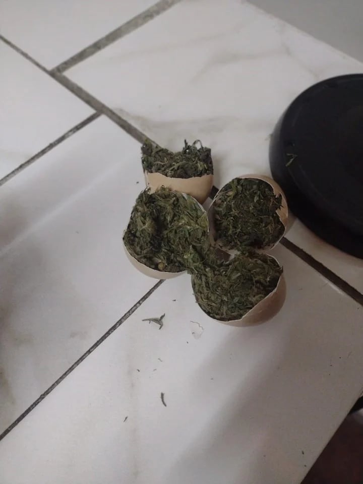 Quisieron hacer entrar marihuana escondida en huevos a una cárcel. Foto: Web