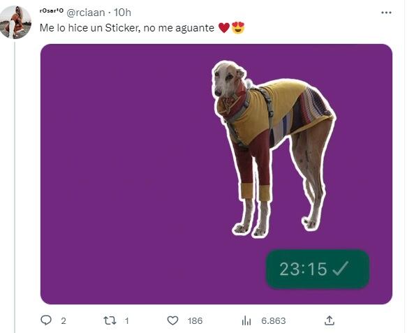 Furor pot el galgo de manga larga. Twitter @mdkro