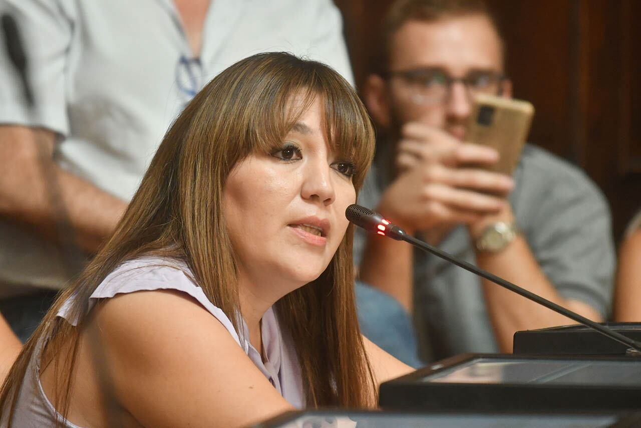 Sesión en la Cámara de Diputados de Mendoza donde se decidió suspender a Janina Ortiz de su cargo de Diputada,  por causas penales donde se la investiga por presunta corrupción cuando era funcionaria de Las Heras.
Foto: José Gutierrez / Los Andes