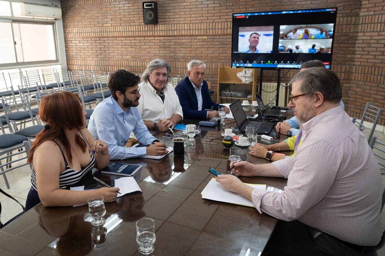 La Comisión Especial de Poderes redactó dos despachos, uno a favor de la asunción de Janina Ortiz y otro, para que se suspenda la asunción hasta que se resuelva su situación judicial. Foto: Ignacio Blanco / Los Andes