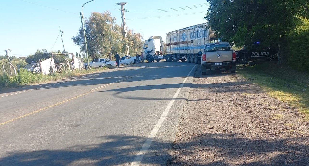 Volcó un camión con vacas en Maipú. Gentileza - Ministerio de Seguridad