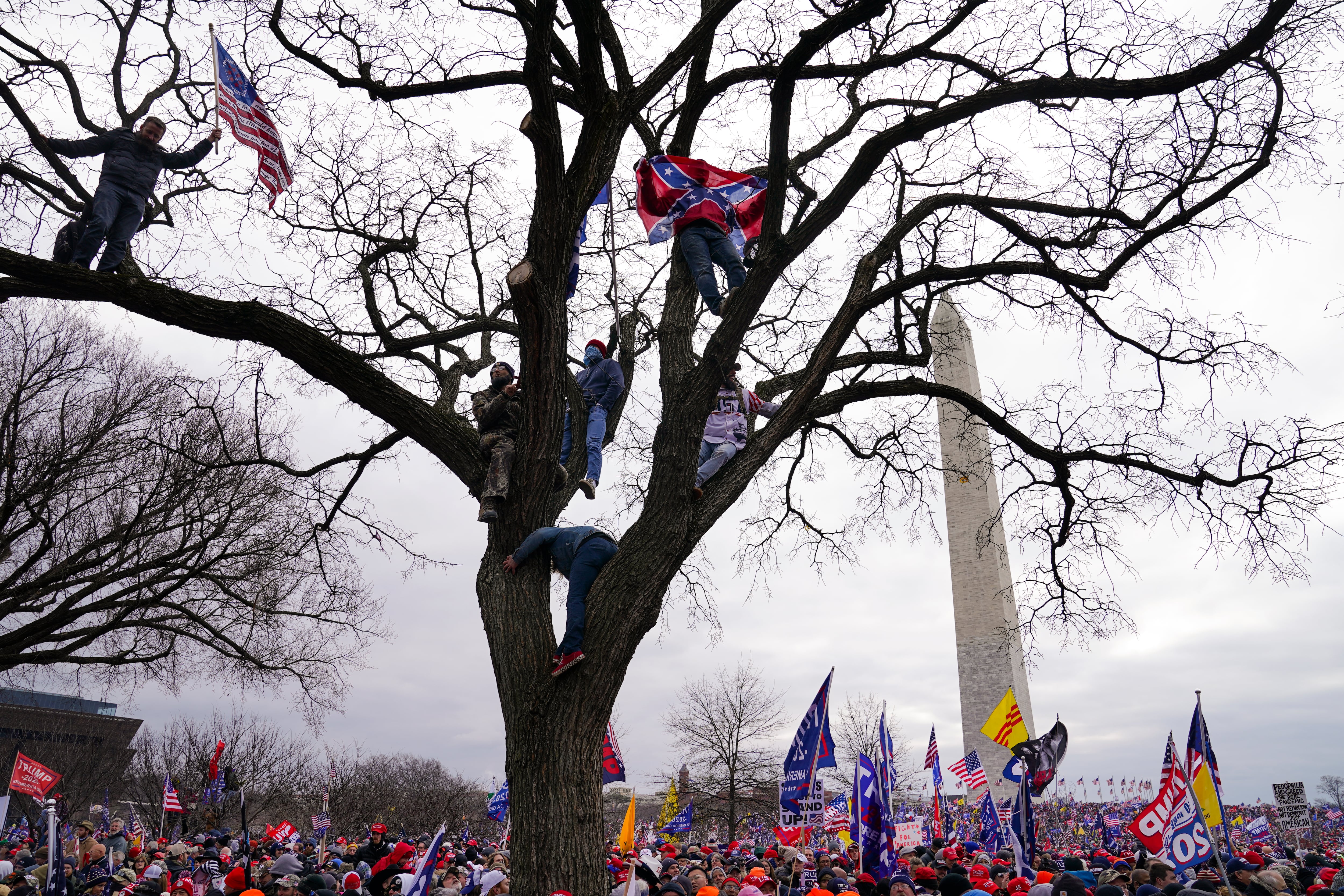 Simpatizantes de Trump en un mitin en Washington.