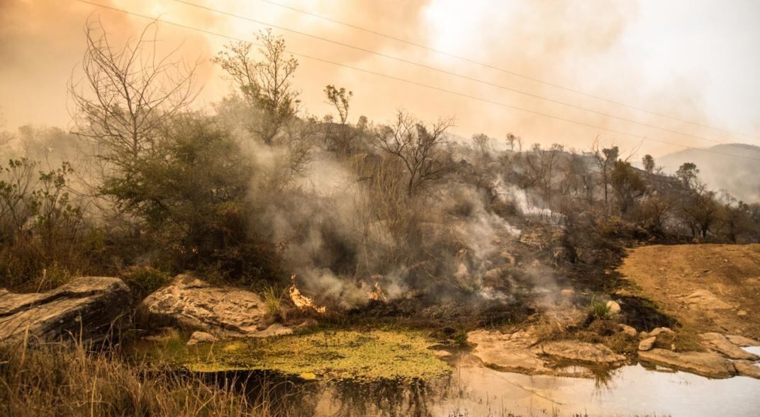 Incendios en Córdoba - 