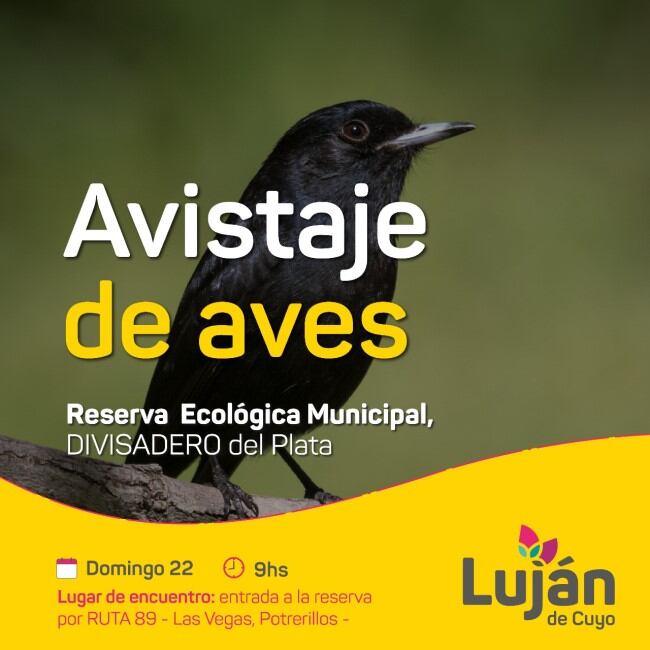 Avistaje de Aves.