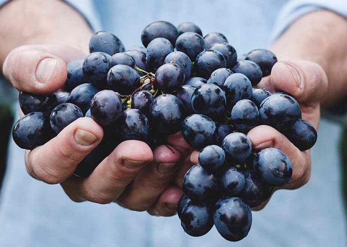 Estos son los alimentos que ayudan a la memoria.