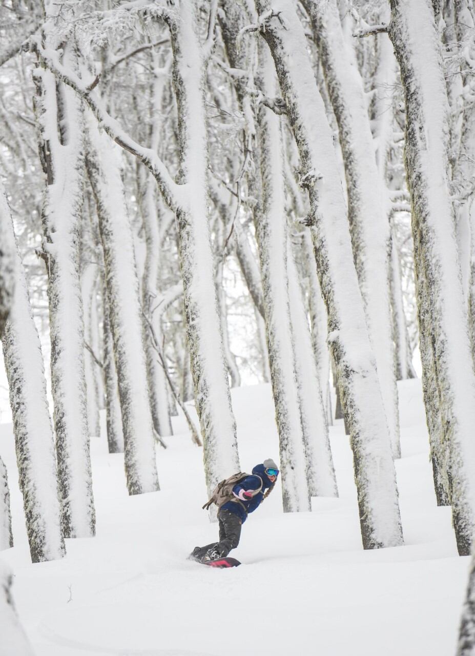 Lila Sanz, del team Roxy, metió una gran bajada en el bosque de araucarias en el Cerro Colorado. / Gentileza Julián Lausi